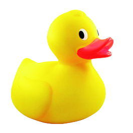 Mt. Sunapee Duck Drop